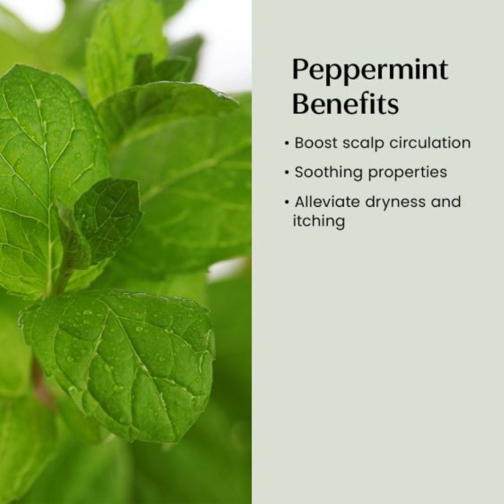 Peppermint Benefits 